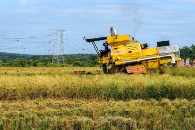 farmer-padi-bernama-310121