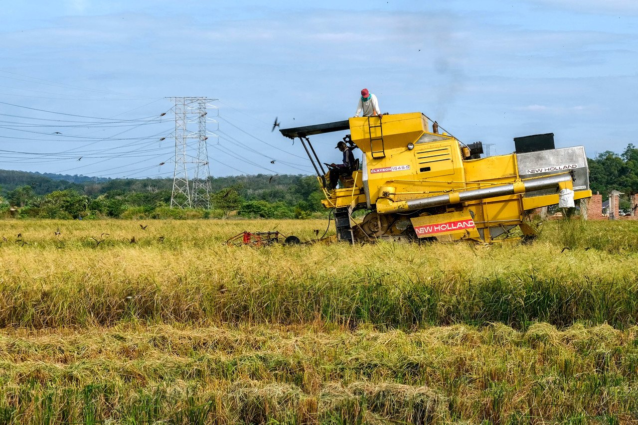 farmer-padi-bernama-310121