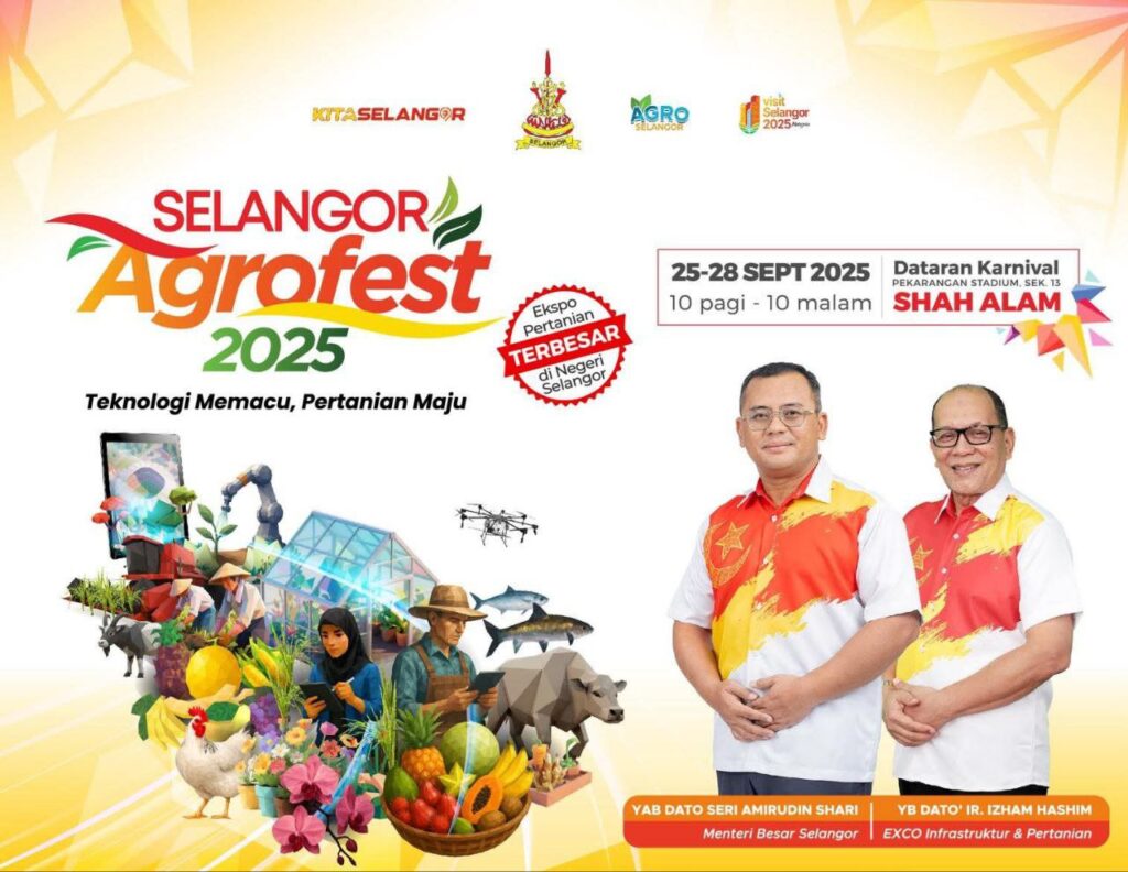 photo_6235594066666571503_y