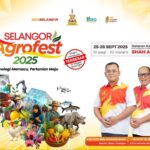 photo_6235594066666571503_y